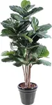 Vert Espace Ficus Lyrata Tige 190 cm