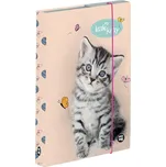 Karton P+P Box na sešity A5