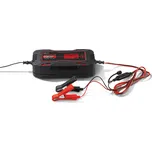 Ultimate Speed ULGD 10 A1 12/24V 300Ah