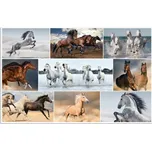 HERMA Psací podložka na stůl 550 x 350…