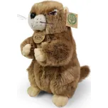 Rappa Eco-Friendly 23 cm
