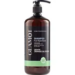 Glamot Pure Repair Boost Shampoo