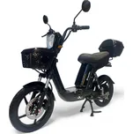 inSPORTline E-Greta 12 Ah 18"