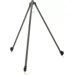 Delphin Classa Triple