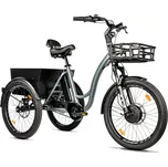 Leader Fox E-Cargo Curtis 602 Wh 24"…