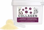 Dromy Collagen