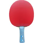 Butterfly Allround New + Flextra…