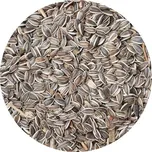 Forestina Krmítko slunečnice žíhaná