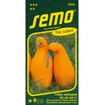 SEMO Tykev Okrasná Ga Ga Ga F1 1,5 g