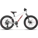 BEANY Blaster XC 20" 2025