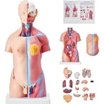 VEVOR GGJRQGMX1JTRKRDCZV0 model…