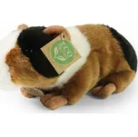 Rappa Eco-Friendly 22 cm