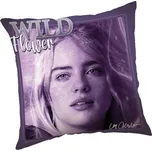 Jerry Fabrics Oboustranný polštářek 40…