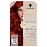 Schwarzkopf Creme Supreme 60 ml