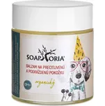 Soaphoria Babyphoria organický hojivý…