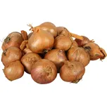 Nohel Garden Cibule šalotka Red Sun…