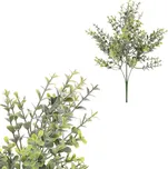 Autronic Eukalyptus v trsu SG8051 GRN…