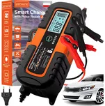 Zenwire JMD-6S 6/12V 100 Ah 6A