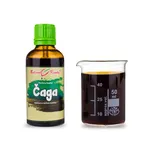 Bylinné kapky s.r.o. Čaga tinktura 50 ml