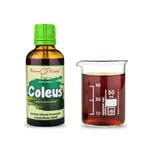 Bylinné kapky s.r.o. Coleus 50 ml