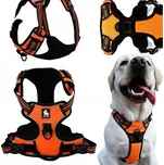 Truelove Reflex Active Outdoor postroj…