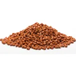 Mivardi Rapid Extreme Spiced Protein 1…