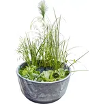 Heissner Aquatopia 015211-09-SL