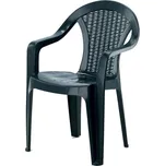 Garden Line Galant CT010-R/ZI