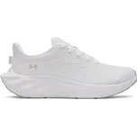 Under Armour UA W Ascend 6009828-100