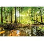 Vliesová fototapeta 10513 254 x 184 cm…