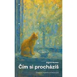 Čím si procházíš - Sigrid Nunez (2026,…