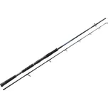 Daiwa Sealine Pilk 210 cm/100-300 g