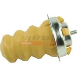 Fast FT18396