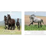 MFP Malý nástěnný kalendář Horses 2027