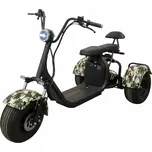 Olto Sport 2000 W 2x 20 Ah