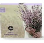 Leros Děkuji výběr bylinných čajů 6x 5…