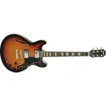 Dimavery SA-610 Sunburst