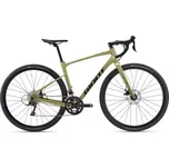 Giant Revolt 2 Bay Leaf 2024 M