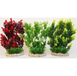 Rostlina Hedge 25 cm mix barev