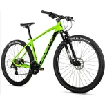 Leader Fox Jasper 29" zelené 2026