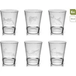 Delphin Shoty 6v1 55 ml 6 ks