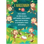 Albi 10162 přání k narozeninám opičí…