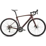Specialized Roubaix SL8 Rusted…