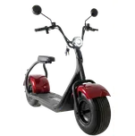 Olto Sport 1000 W vínová