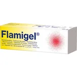 Flen Pharma Flamigel 10 g
