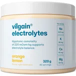 Vilgain Electrolytes bez stévie 320 g