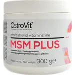 OstroVit MSM Plus 300 g