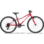 Amulet Fun 24" 2026