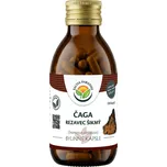 Salvia Paradise Čaga Rezavec šikmý…