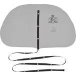 BG France A30 pro alt saxofon